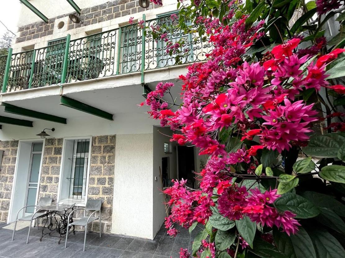 Berenice Winery Villa Tiberias Exterior foto
