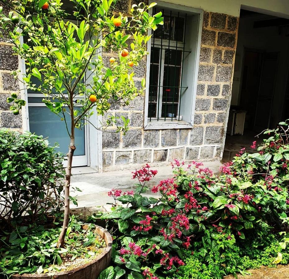 Berenice Winery Villa Tiberias Exterior foto