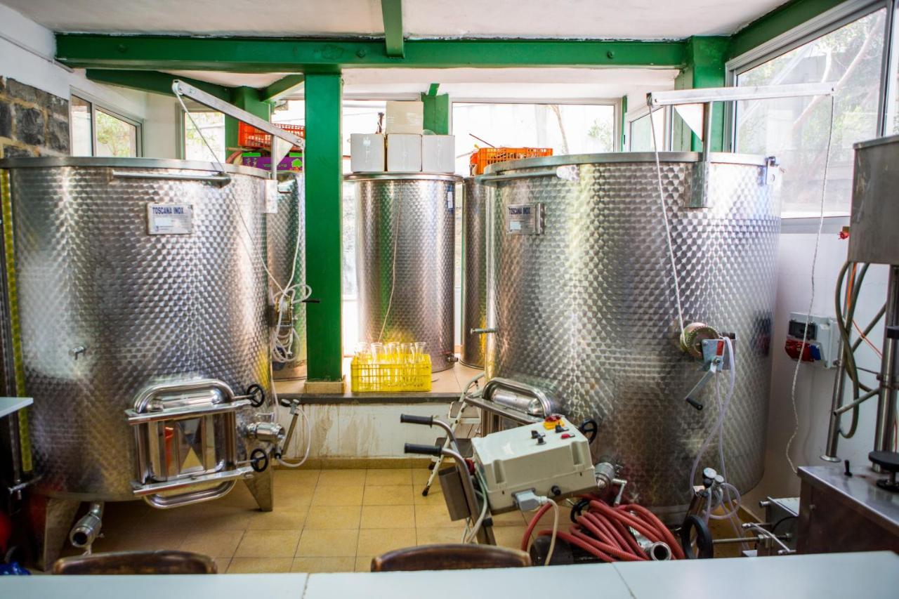 Berenice Winery Villa Tiberias Exterior foto